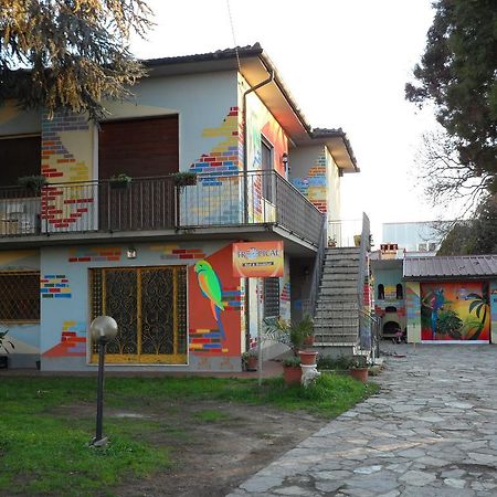 Tropical Bed&Breakfast Lucca Buitenkant foto